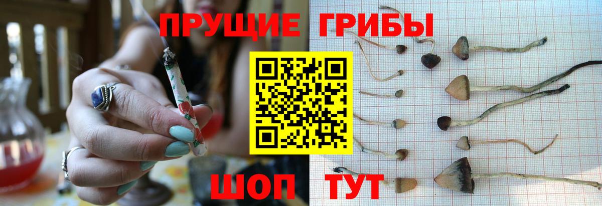 Псилоцибиновые грибы ЛСД Обнинск