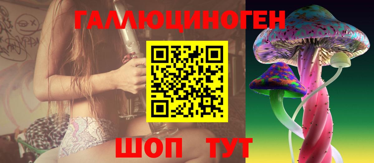 Обнинск  закладка  Вход с VPN  Галлюциногенные грибы мицелий 